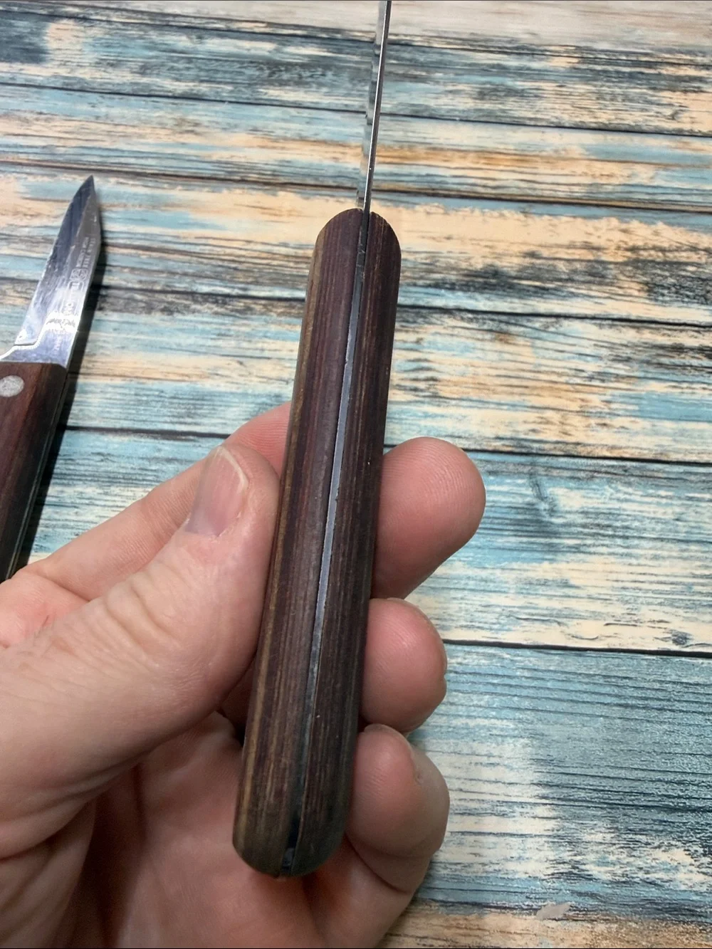 ⭐️Tramontina Brazil Polywood Paring Steak Knives Lot of 2 High Carbon Stainless